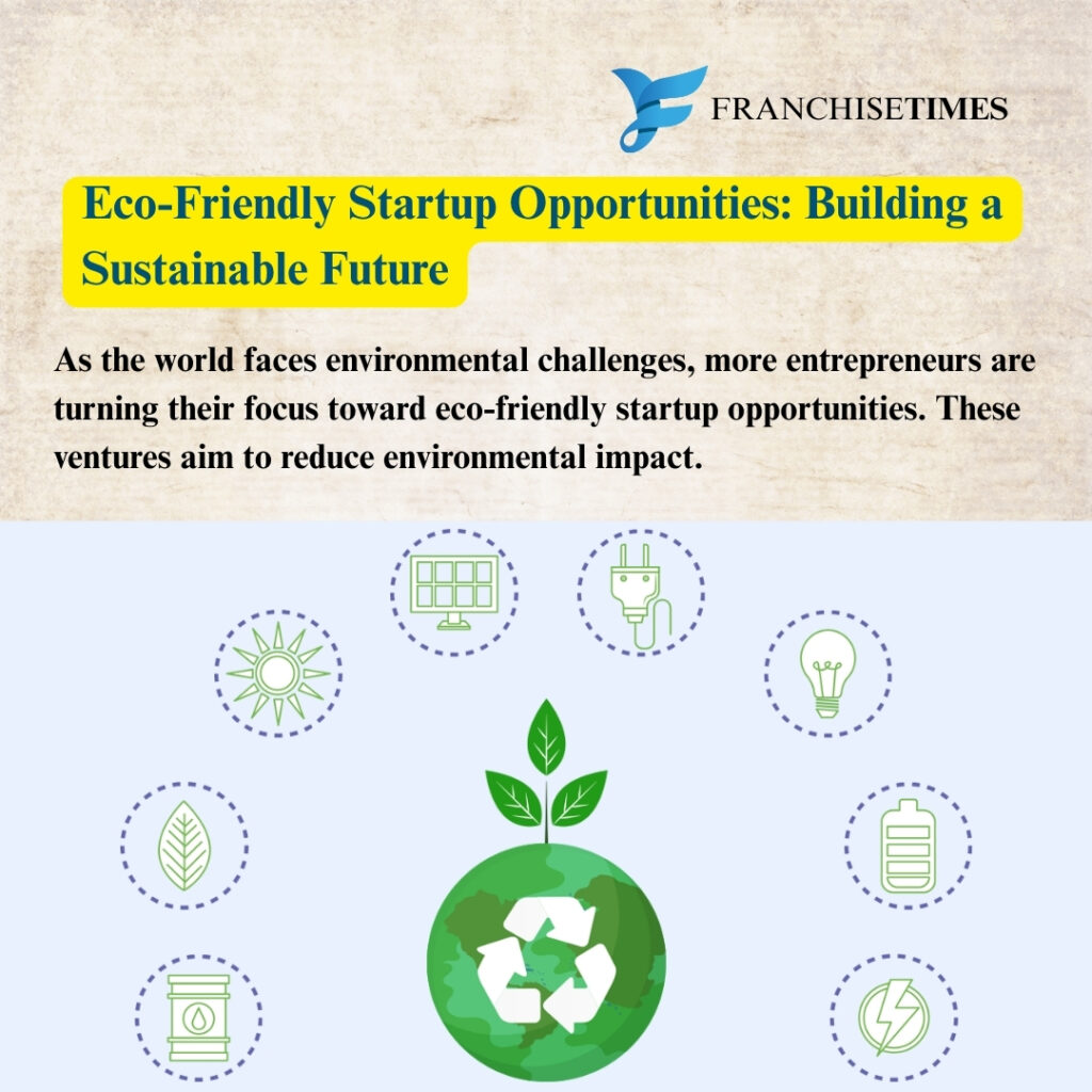 Eco-Friendly Startup Business Opportunities In 2025